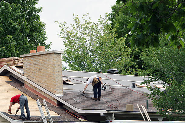 Best Roof Gutter Cleaning  in Minerva Park, OH